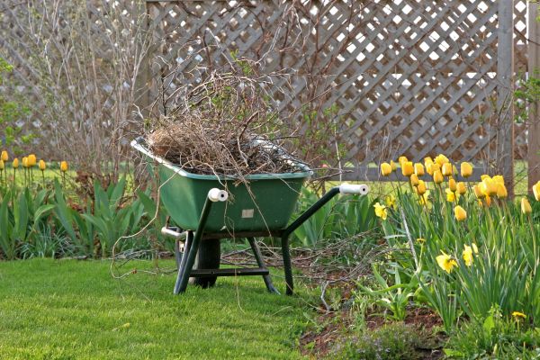 Flower Bed Cleanup Service in Ventura