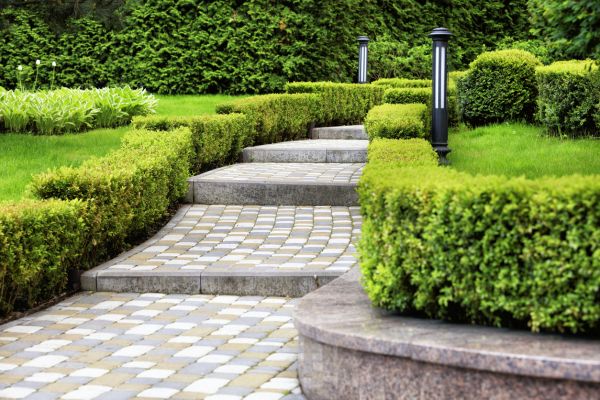 Backyard Remodeling in Ventura