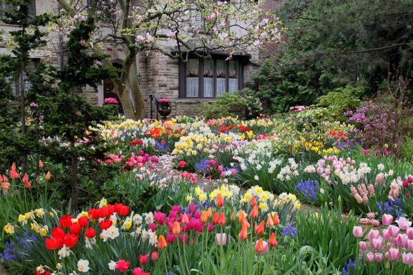 Garden Maintenance Service in Ventura