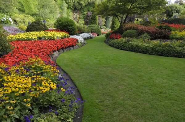Landscaping Maintenance in Ventura