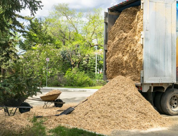 Wood Chips Delivery in Ventura