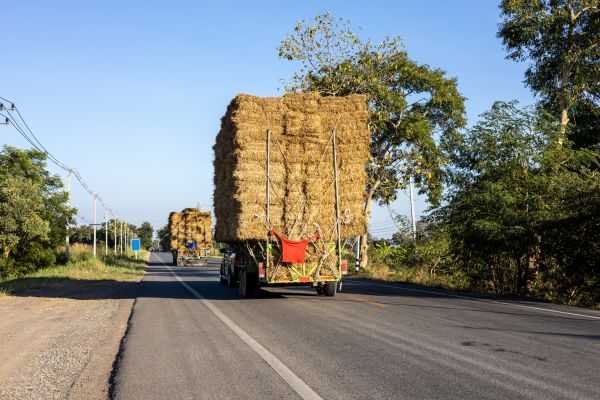 Pine Straw Delivery in Ventura