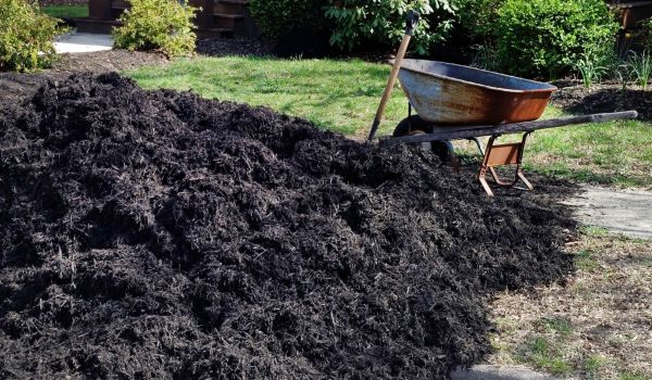 Black Mulch Delivery in Ventura