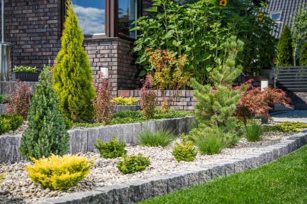 Landscape Construction Service in Ventura