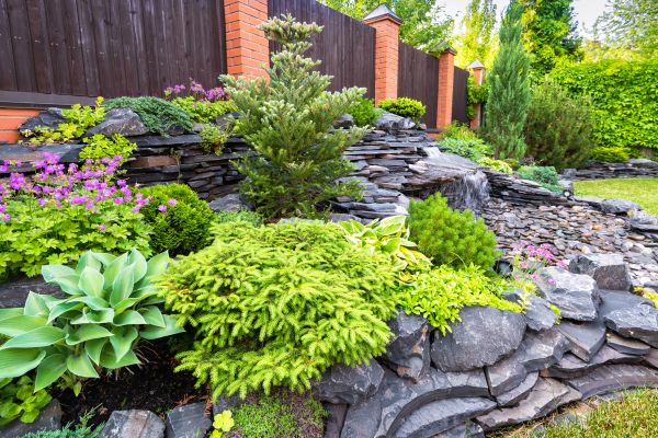 Landscape Remodeling in Ventura