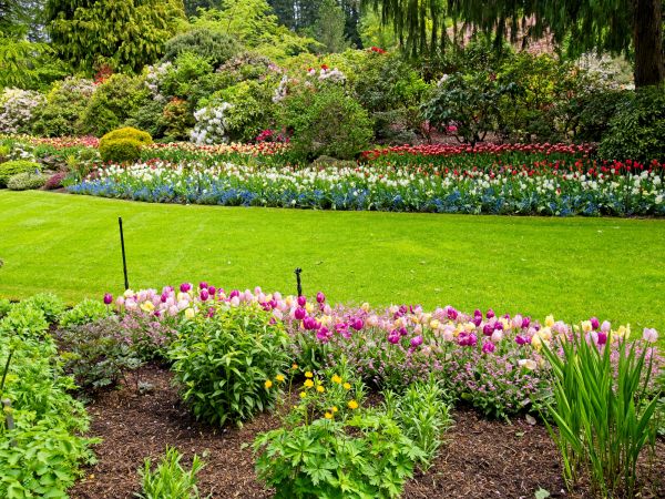 Residential Landscape Design in Ventura
