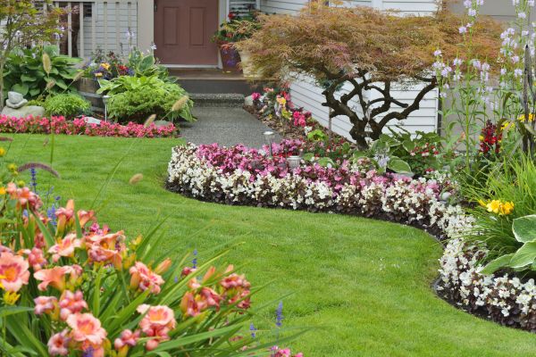 Perennial Landscaping in Ventura