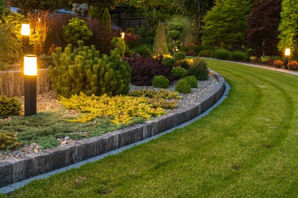 Garden Repair Service in Ventura