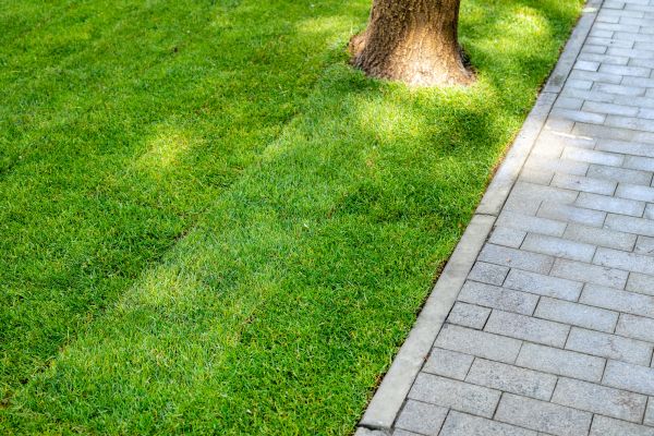 Border Stone Installation in Ventura