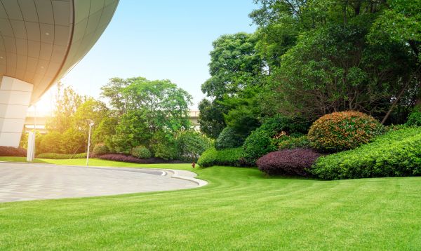 Business Landscape Design in Ventura