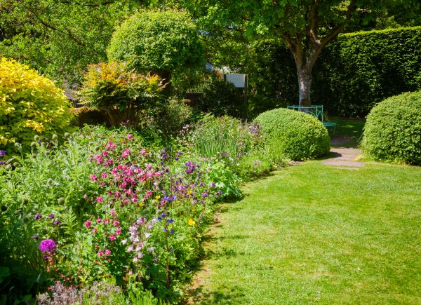Yard Landscaping Service in Ventura