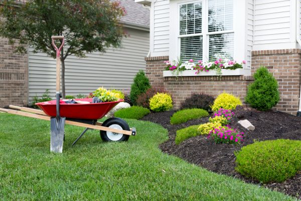 Tree And Shrub Planting in Ventura