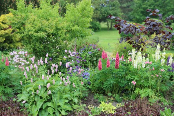 Flower Bed Planting in Ventura