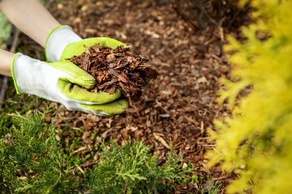 Garden Mulch Delivery in Ventura