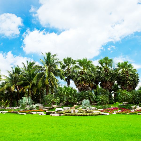 Tropical Landscaping in Ventura