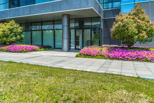 Commercial Gardening in Ventura
