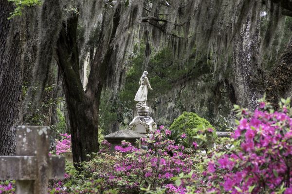 Cemetery Landscaping in Ventura