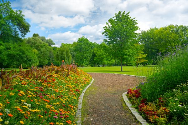 Park Landscaping in Ventura