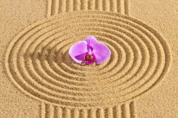 Sand Garden Landscaping in Ventura