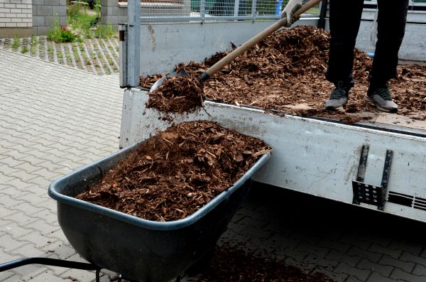 Cypress Mulch Delivery in Ventura