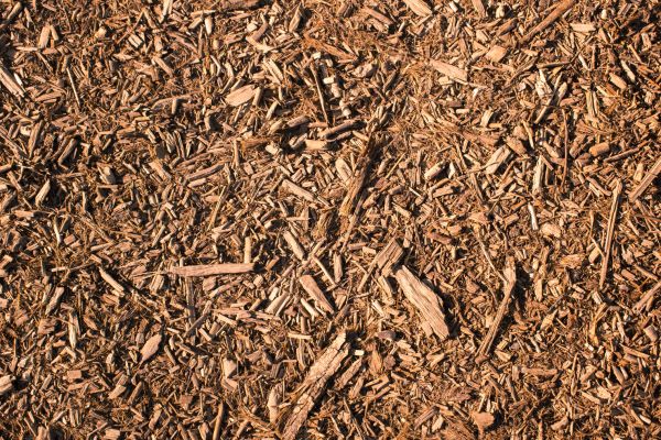Wood Chips Removal in Ventura