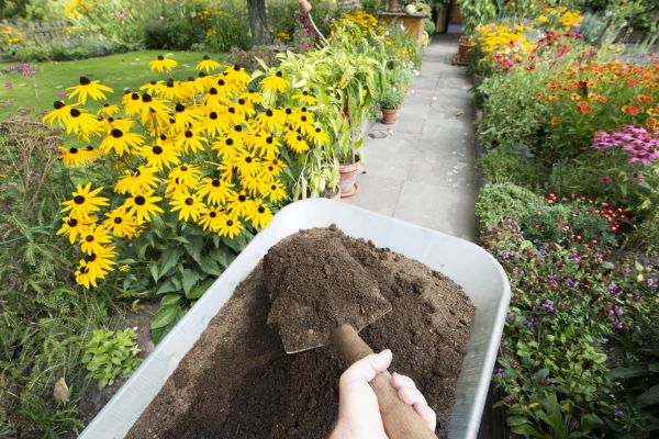 Topsoil Replacement in Ventura