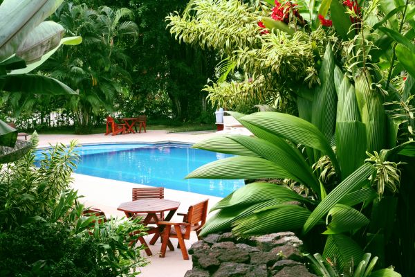 Pool Area Landscaping in Ventura