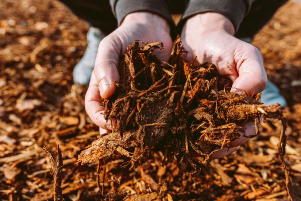 Bark Chips Delivery in Ventura