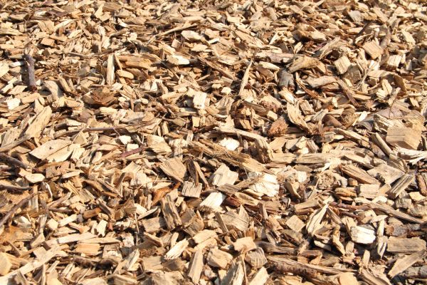 Wood Mulch Delivery in Ventura