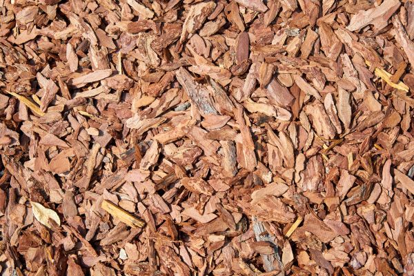 Pine Mulch Delivery in Ventura