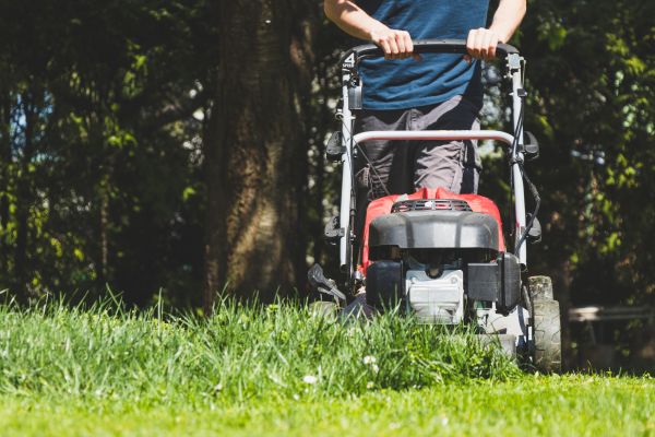 Garden Trimming Service in Ventura