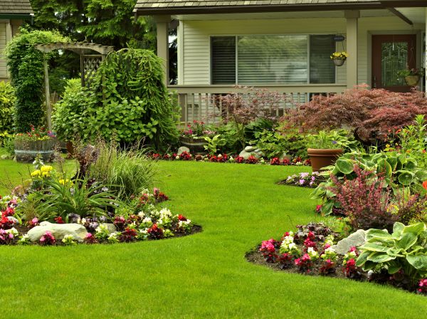 Flower Garden Planting in Ventura