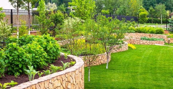 Yard Makeover Service in Ventura