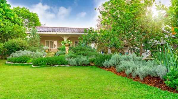 Greenery Planting in Ventura
