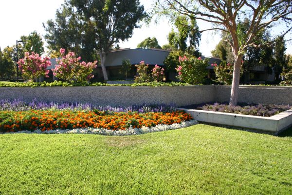 Commercial Landscape Service in Ventura