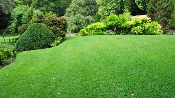 Commercial Landscape Design in Ventura