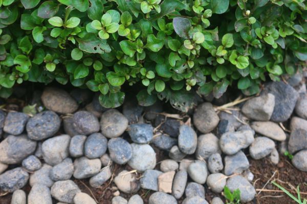 River Stone Installation in Ventura