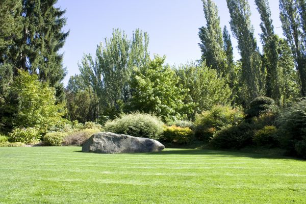 Yard Enlargement in Ventura