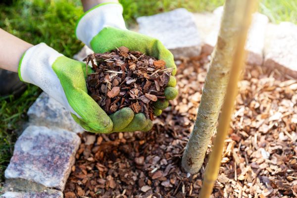 Tree Bark Delivery in Ventura