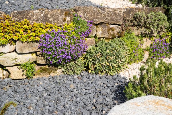 Landscaping Rocks Installation in Ventura