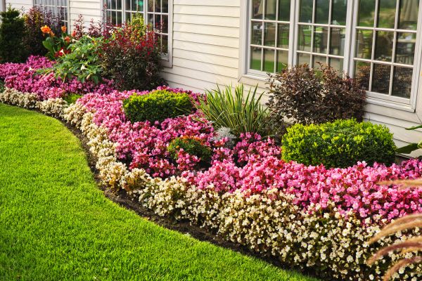 Garden Landscape Design in Ventura
