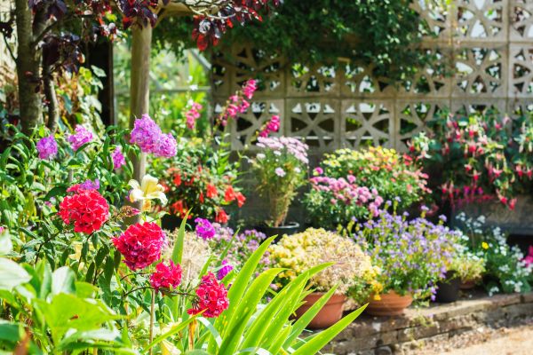 Spring Garden Maintenance in Ventura