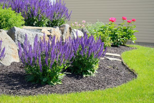 Landscape Planting Service in Ventura