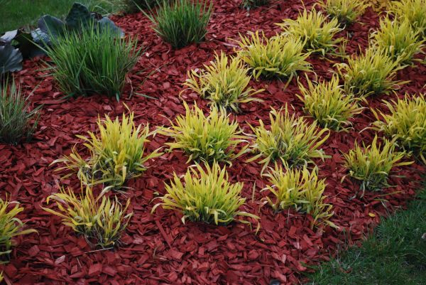 Red Mulch Installation in Ventura