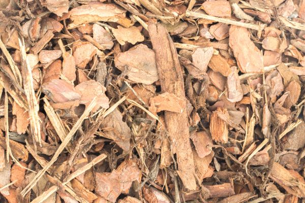 Bark Mulch Installation in Ventura