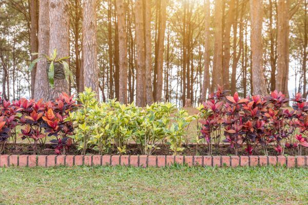Small Garden Landscaping in Ventura