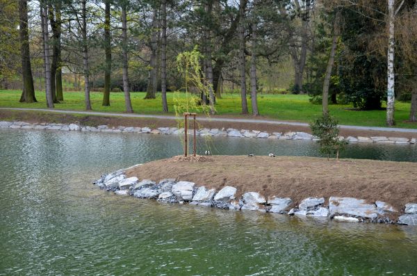 Pond Landscaping Service in Ventura