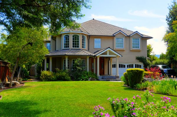 Large Yard Landscaping in Ventura