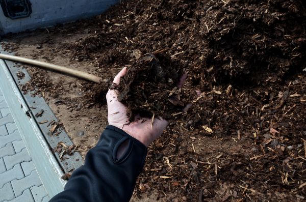 Condo Mulching in Ventura