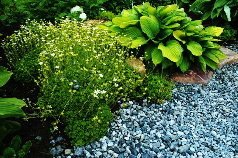 Landscape Gravel Installation